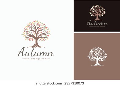 Old Tree Branches Leaves of Oak Maple with Fall Autumn Colors Silhouette logo design svg