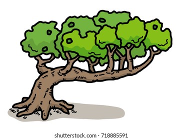 old tree / cartoon vector and illustration, hand drawn style, isolated on white background.