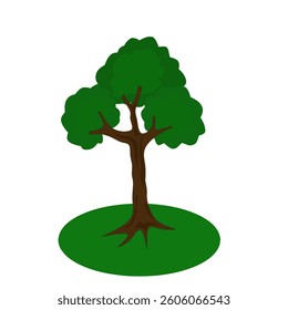 old tree. Complementary images. color