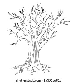 Old tree graphic black white isolated sketch illustration vector