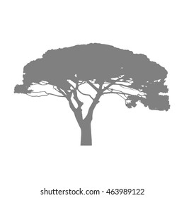 Old tree gray silhouette isolated on white background. Vector tree.