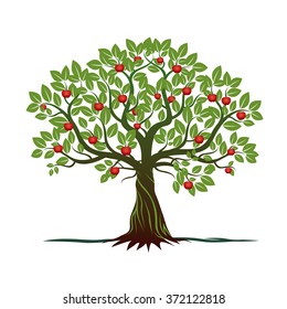 Old Tree with Green Leafs, Roots and Red Apples. Vector Illustration.