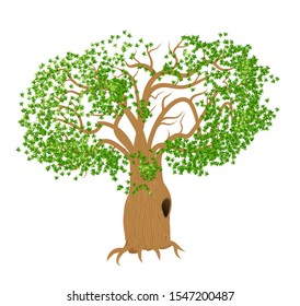 Old tree with a huge hole in its trunk. Vector illustration isolated on white background.