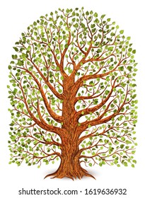 Old tree isolated on white background Vector illustration.