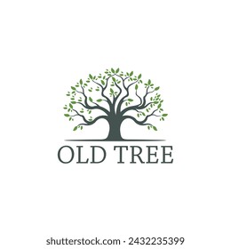 Old tree with leaves vector illustration logo design