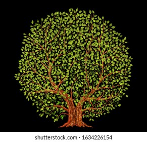 Old tree on black background vector illustration