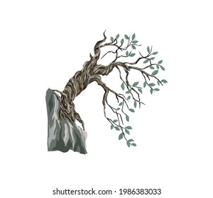 old tree on the cliff slope vector illustrations