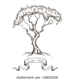 old tree with ribbon banner hand drawn