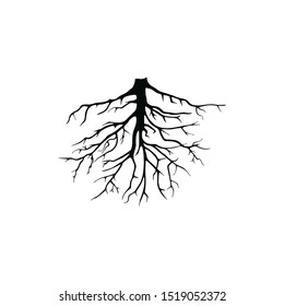 Old Tree Root Silhouette Isolated on White Background.