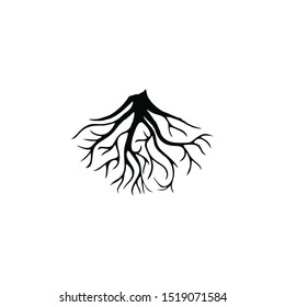 Old Tree Root Silhouette Isolated on White Background.