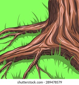 Old tree with roots and grass.Background.