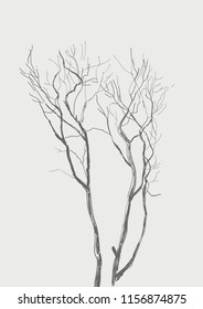 Old tree - sketch illustration. Design print