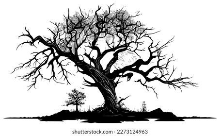 Old tree vector black line illustration isolated white. Sketch art