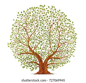 Old Tree Vector Illustration