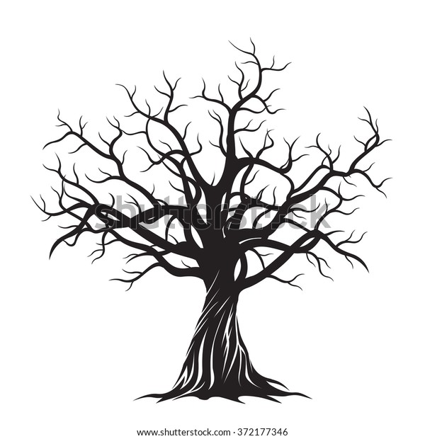 Old Tree Vector Illustration Stock Vector (Royalty Free) 372177346