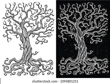 Old tree without leaves on white and black backgrounds. Hand drawn doodle engraved illustration, graphic drawings