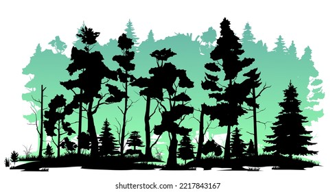 Árboles viejos. Bosque de coníferas con alfileres y pinos. Paisaje con árboles y hierba. Foto de silueta. Aislado sobre fondo blanco. Vector