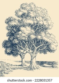 Old trees on sea shore, detailed hand drawing