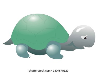THE OLD TURTLE