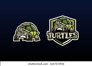 232 Soccer Turtle Images, Stock Photos & Vectors 