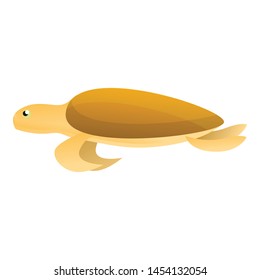 Old turtle icon. Cartoon of old turtle vector icon for web design isolated on white background