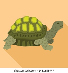 Old turtle icon. Flat illustration of old turtle vector icon for web design