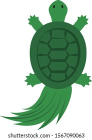 old turtle with seaweed growing on its back
