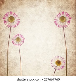 Old vintage paper texture background with dry flowers. EPS10 vector illustration