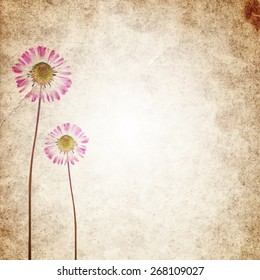 Old vintage paper texture background with dry flowers. EPS10 vector illustration