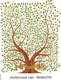 Old Vintage Tree Vector Illustration