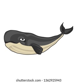 Old whale icon. Cartoon of old whale vector icon for web design isolated on white background