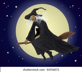 Old witch and black cat  flying on a broomstick