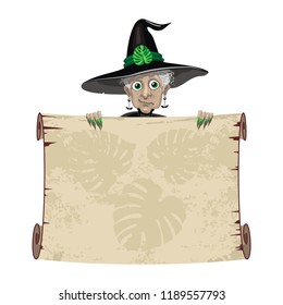 Old witch in black hat, Monstera leaf decoration, Halloween party banner, old paper scroll, cute old lady, magic woman, cartoon character, funny  horror, holyday art, vector illustration