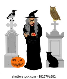 Old witch with poison apple on graveyard by tombstone in company with owl, raven and black cat vector illustration isolated on white. Halloween pumpkin bogeyman. Black magic lady night horror scene.