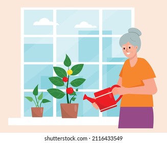 Old Woman Watering House Indoors Plants. Hobby Gardening And Growing Houseplant For Elderly People. Potted Flowers In City Home Garden. Staying At Home. Flat Or Cartoon Vector Illustration.