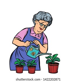 Old Woman Watering Potted Flowers. Comic Cartoon Pop Art Retro Illustration Drawing