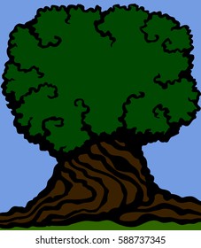 Old wood background. Image of a large trunk and a dense crown of an old tree. Vector illustrations.