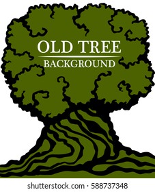 Old wood background. Image of a large trunk and a dense crown of an old tree. Vector illustrations.