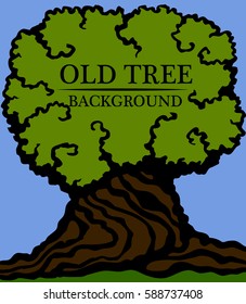 Old wood background. Image of a large trunk and a dense crown of an old tree. Vector illustrations.
