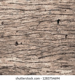 Old wood background. Wood texture background.