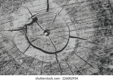 Old wood cut