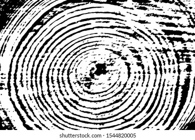 Old wood cut texture. Cross-section of the tree. Background of sawn log with annual rings. Overlay template. Vector illustration