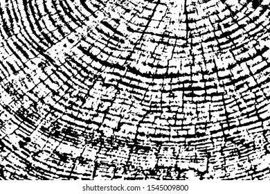 Old wood cut texture. Cross-section of the tree. Monochrome background of a fragment of a sawn log with annual rings. Overlay template. Vector illustration