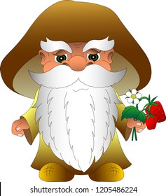 old wood elf with a long beard