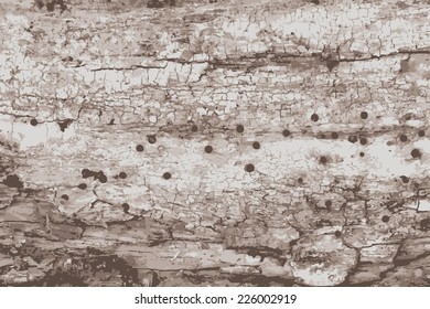 old wood texture