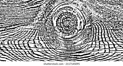 Old wood texture. Grunge rough background, board. 