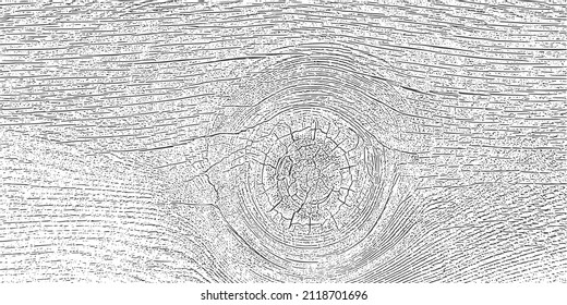Old wood texture. Grunge rough background, board. 