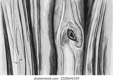 Old wood texture, grunge rough background, board
