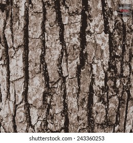 Old wood texture of tree bark. Vector illustration.