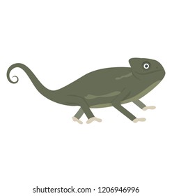 
Old world type lizard chameleon icon design 
